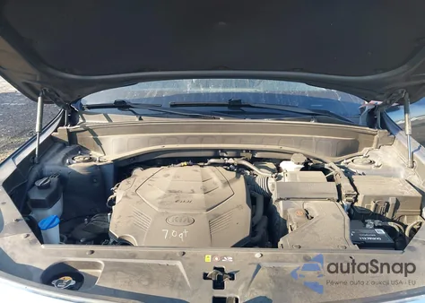 2020 Kia Telluride Ex z USA, uszkodzony, nr VIN 5XYP3DHCXLG028883